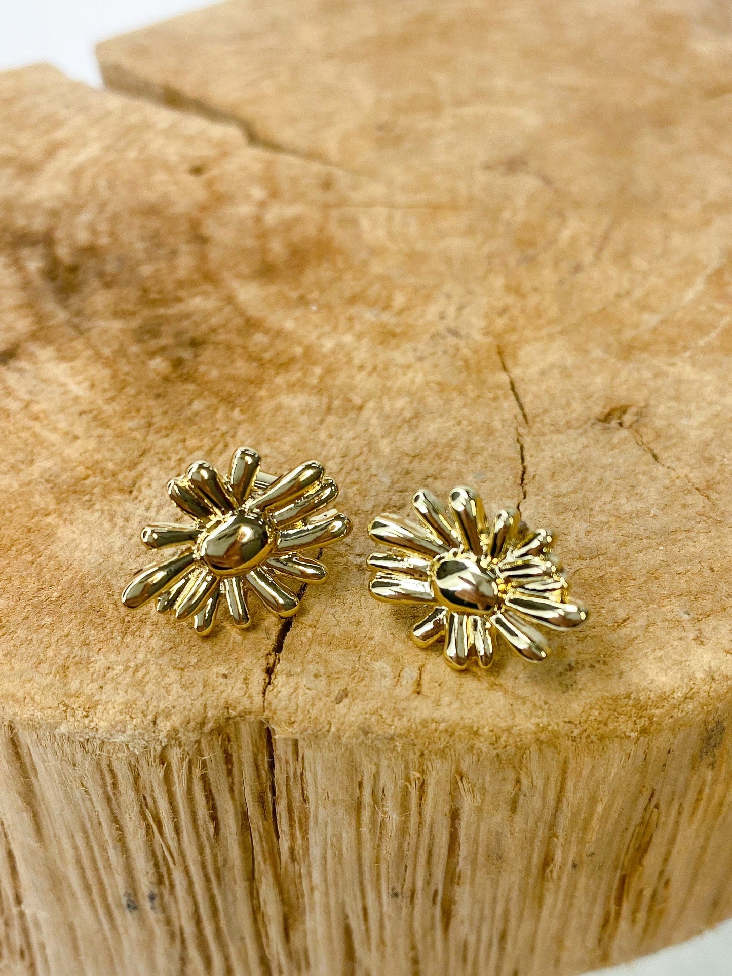 Earrings Golden Daisy Stud Earring