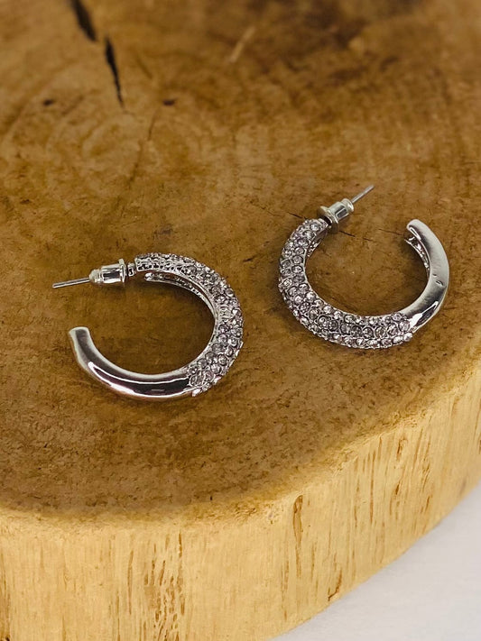 Earrings Blingy Hoop Earring- Sylvie