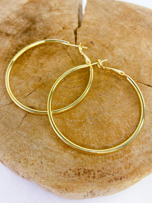 Earrings Diana Gold Hoop Earring